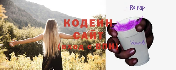 прущие грибы Елабуга