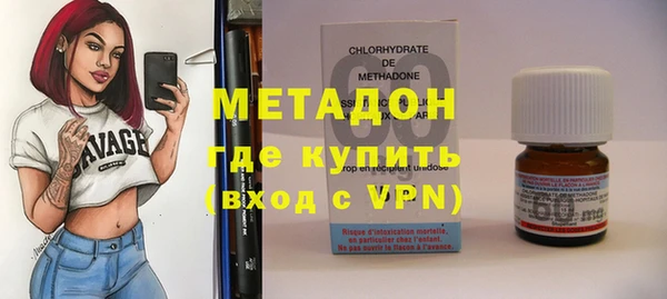 индика Ельня