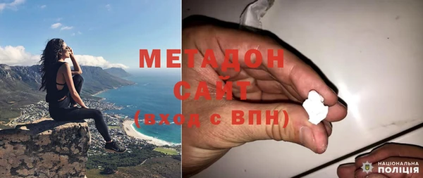 прущие грибы Елабуга