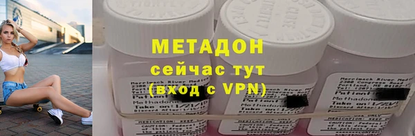 прущие грибы Елабуга
