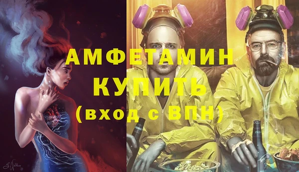 индика Ельня