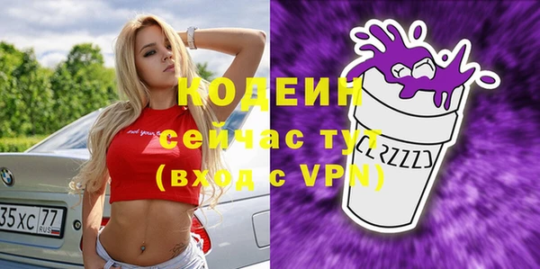 индика Ельня