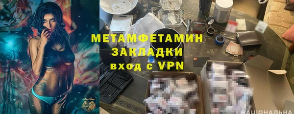 прущие грибы Елабуга