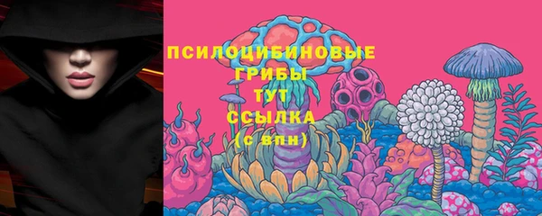 прущие грибы Елабуга