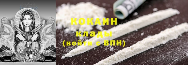 индика Ельня