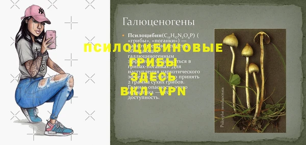 марки nbome Дмитров