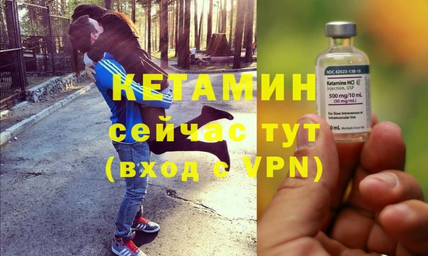 индика Ельня