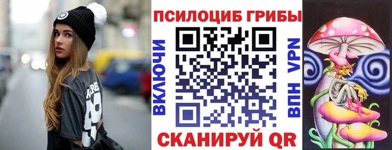 KRAKEN рабочий сайт Западная Двина Псилоцибиновые грибы Psilocybine cubensis как найти закладки