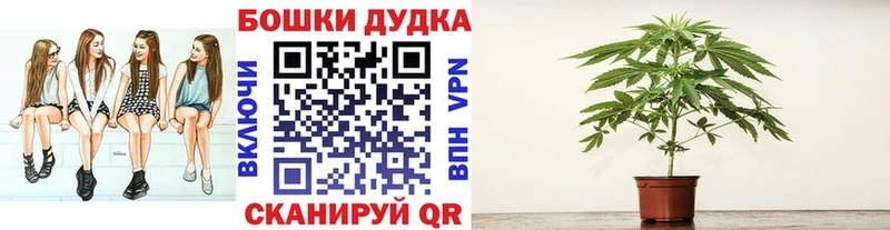 shop официальный сайт  kraken tor  Западная Двина  закладки  Каннабис Ganja 